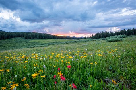 Le « Diag Biodiversité » de BPI